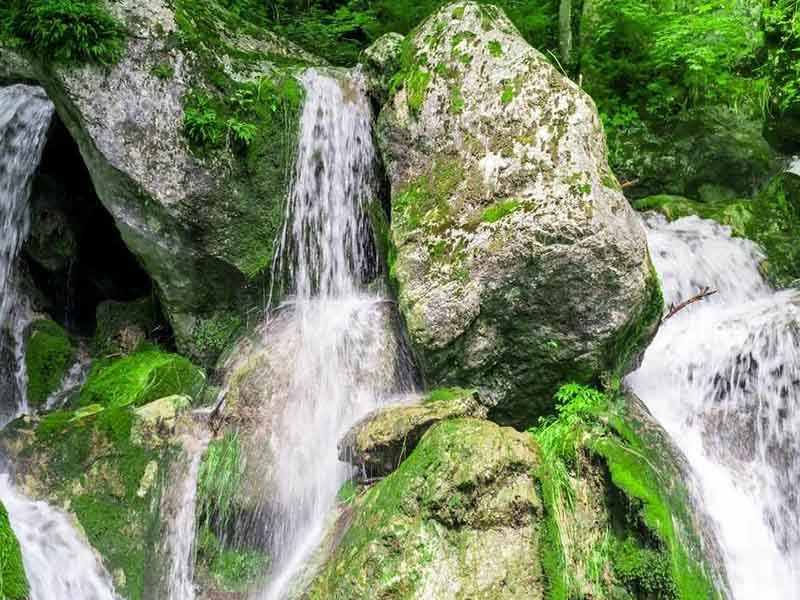 1653630592110888.jpg QQ截圖20220527100526.jpg