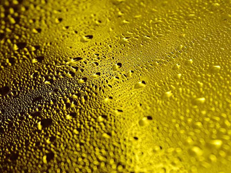 食用油酸價(jià)檢測(cè)儀功能特點(diǎn)