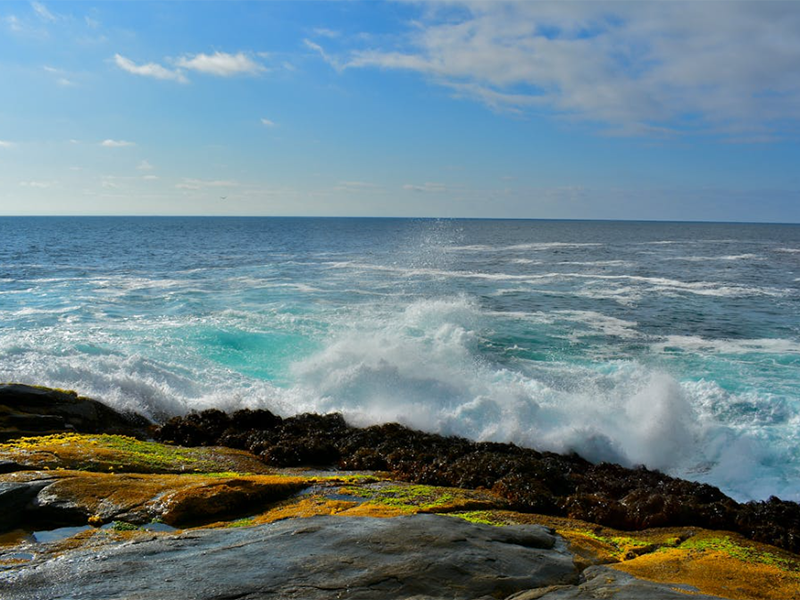 pH計(jì)的校準(zhǔn)步驟及常見問題（pH計(jì)使用注意事項(xiàng)）