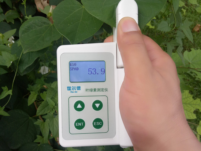 怎樣檢測活體植物的葉綠素含量